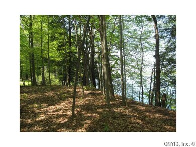 Land. This is the top of the cliff - wooded but wh