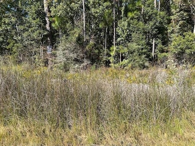 0 Washington Ave, Coden, AL 36523 - photo 3