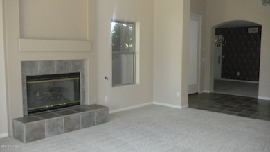 Gas Fireplace in Living Room