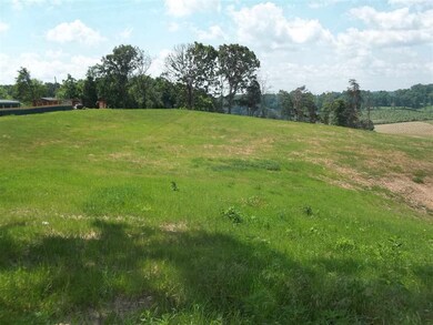 0 Morgan Rd, Rutledge, TN 37861 - photo 2