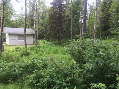 shed1