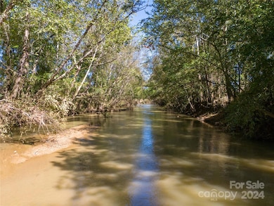 000 N Pacolet Rd, Landrum, SC 29356 - photo 7