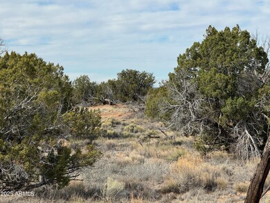 Lot 338 Sierra Highlands Ranch -- unit 338, Saint Johns, AZ 85936 - photo 6