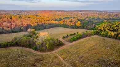 Country Farm Rd, Beaufort, MO 63013 - photo 7