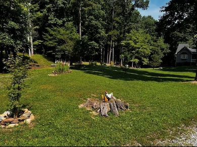 362 Old Dial Rd, Morganton, GA 30560 - photo 2