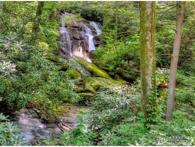 Roaring Waterfall