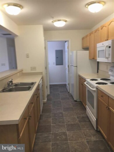 304 Baughmans Ln unit D, Frederick, MD 21702 - photo 4