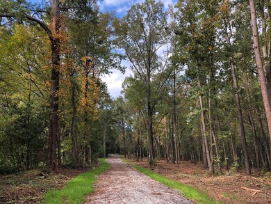 4575 Gray Ln, Evans, GA 30809 - photo 6