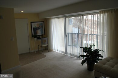 1138 Cove Rd unit 302, Annapolis, MD 21403 - photo 4