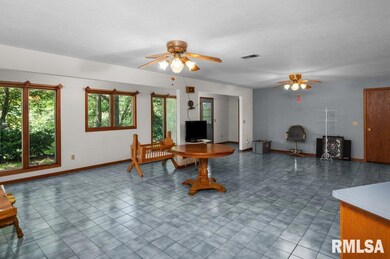 9554 Rock River View, Colona, IL 61241 - photo 4