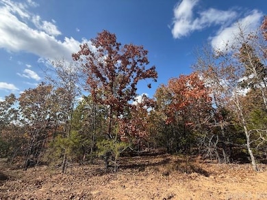 22 Summer Tyme Dr, Greenbrier, AR 72058 - photo 3