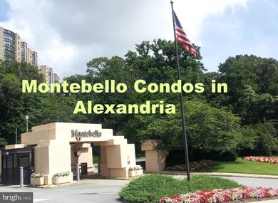 Montebello unit 1502, Alexandria, VA 22303 - photo 2