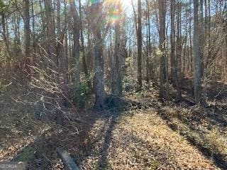 4195 Stephanie Cir SE, Conyers, GA 30013 - photo 4