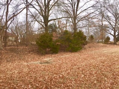 woods