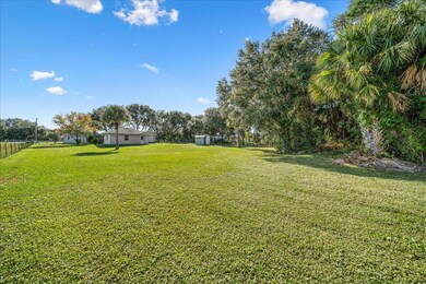 Backyard facing the house