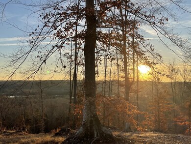 0 Chapmansboro Rd unit RTC2641130, Ashland City, TN 37015 - photo 2