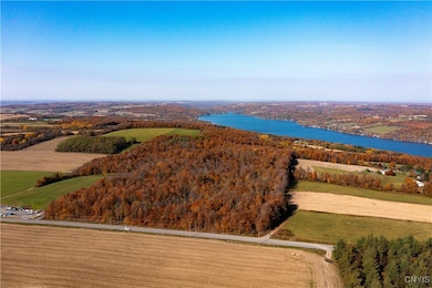 0 E Lake Rd unit S1631987, Skaneateles, NY 13152 - photo 2