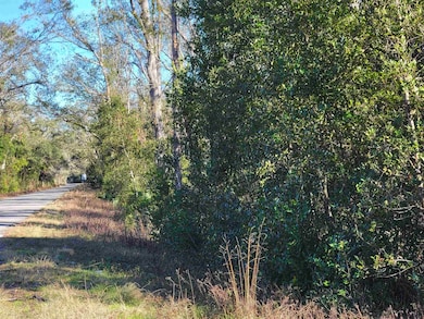 00 Pharo Morgan Rd, Perry, FL 32347 - photo 3