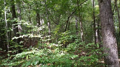 Lot 187 Tennessee Tr., Lincolnton