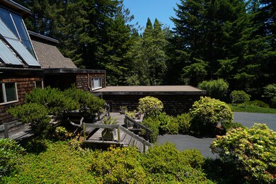 IMG05581