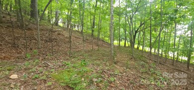 Lot 80 Serpentine Dr unit 80A, Columbus, NC 28722 - photo 6