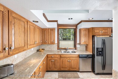 1441 Crystal Lake Rd unit 2, Aspen, CO 81611 - photo 5