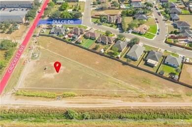 000 E Crockett Ave, Alamo, TX 78516 - photo 2