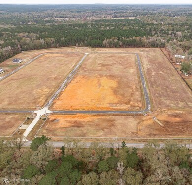 201 E Josie Ln, Haughton, LA 71037 - photo 5