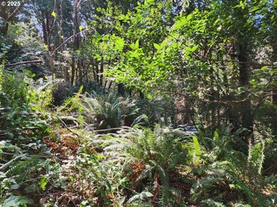 0 Jefferson St unit Lot 1&6 391642538, Port Orford, OR 97465 - photo 5