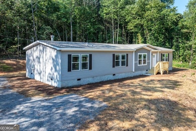 10209 Kelly Bridge Rd, Dawsonville, GA 30534 - photo 3