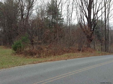 870 Braim Rd, Greenfield Center, NY 12833 - photo 4