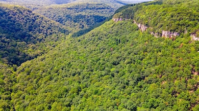 1 Woodcock Rd, Dunlap, TN 37327 - photo 5