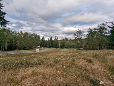 290 State Rt 6, Raymond, WA 98577 - photo 5