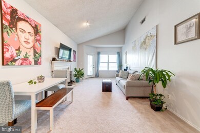 4404 Helmsford Ln unit 203, Fairfax, VA 22033 - photo 6