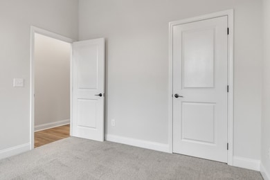 203 Charleston Ave, Pleasant View, TN 37146 - photo 7