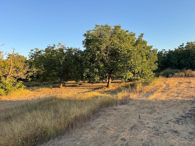 442 E Gridley Rd, Gridley, CA 95948 - photo 6