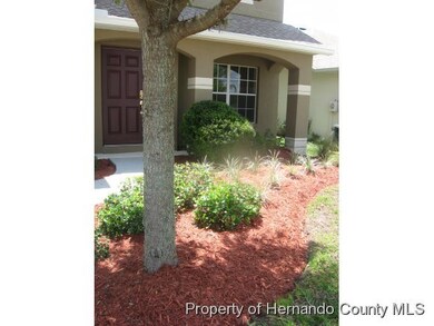 9608 Jasmine Brook Cir, Land O Lakes, FL 34638 - photo 3