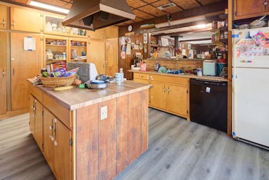 Wood cabinets in kitchen, dishwasher, refrigerator.