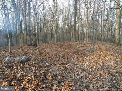 0 View Dr unit VAWR2002524, Front Royal, VA 22630 - photo 5