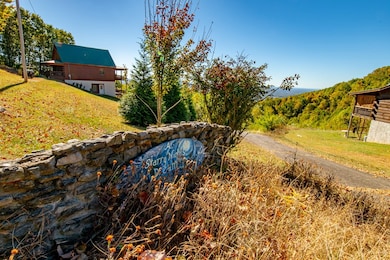 50 Acres Spring Valley Rd, Fancy Gap, VA 24328 - photo 3