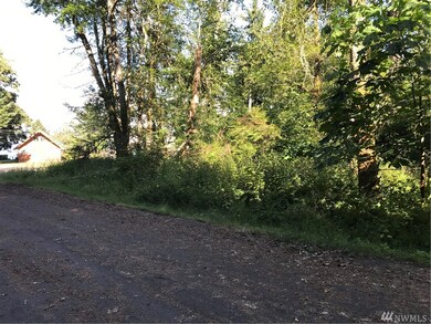 10720 Seaview Dr unit AI, Anderson Island, WA 98303 - photo 4