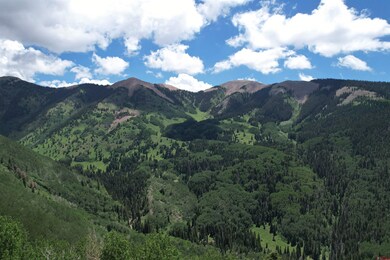 TBD Forest Service Road 567, Mancos, CO 81328 - photo 4