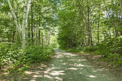 Lot 5 E Side Rd, Wentworth, NH 03282 - photo 3