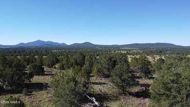 DJI_0252