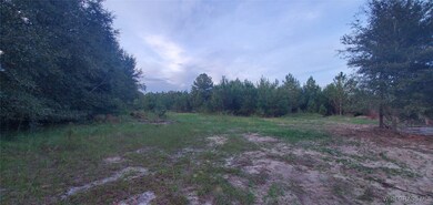 725 Dock Wilson Rd, Samson, AL 36477 - photo 2