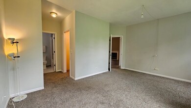 1263 Rhodes Ln unit 1201, Naperville, IL 60540 - photo 7