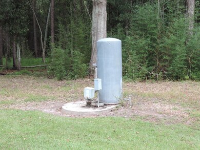 18137 State Route 188, Coolidge, GA 31738 - photo 7