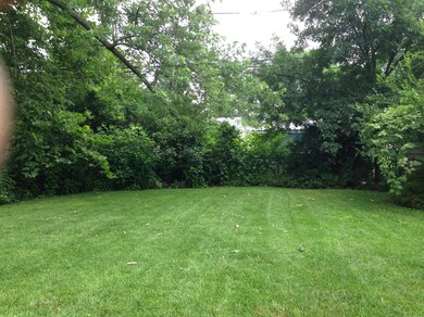 Langham Back Yard