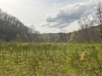 362 Band of Hope Rd unit Tract 1, Renick, WV 24966 - photo 6