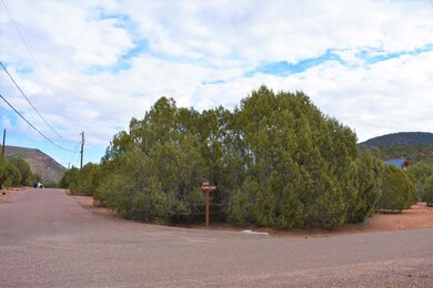 1087 S Palomino Place, Payson, AZ 85541 - photo 2